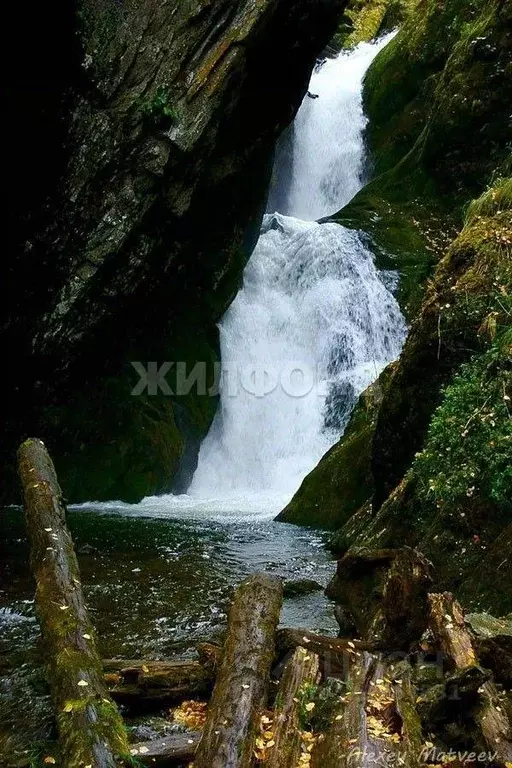 Участок в Алтай, Турочакский район, с. Артыбаш ул. Березовая (23.53 ... - Фото 1