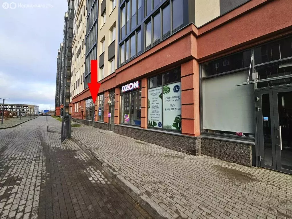 Помещение свободного назначения (60 м) - Фото 1