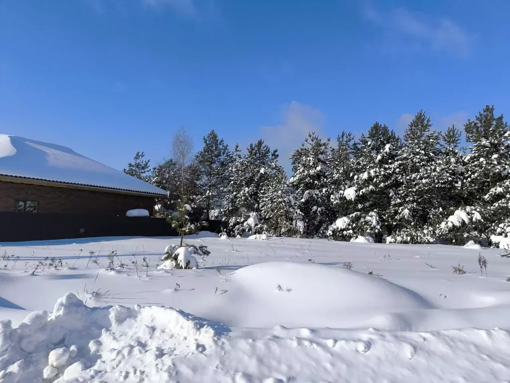 Участок в Московская область, Раменский муниципальный округ, с. Речицы ... - Фото 1