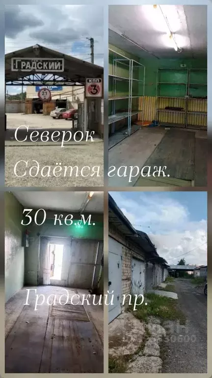 Гараж в Челябинская область, Челябинск Городская ул. (30 м) - Фото 1