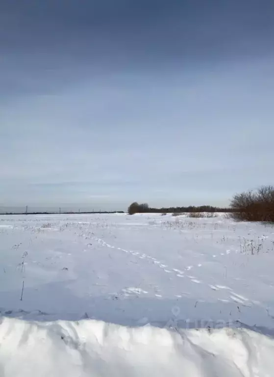 Участок в Тюменская область, Тюменский район, д. Марай  (9.0 сот.) - Фото 0