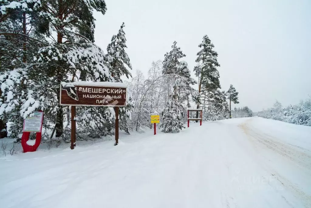 Участок в Рязанская область, Рязанский муниципальный округ, д. Деулино ... - Фото 2