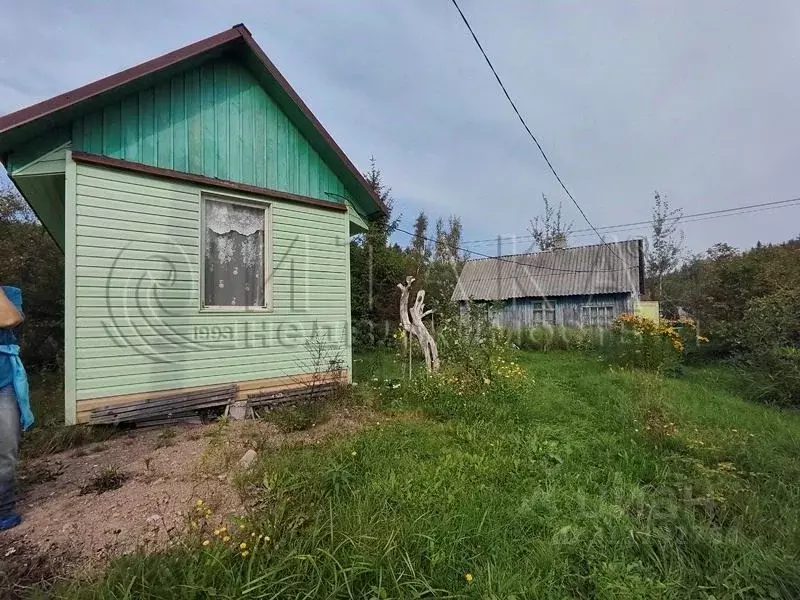 Дом в Ленинградская область, Выборг Рябиновый Мыс СНТ, ул. Рябиновый ... - Фото 0