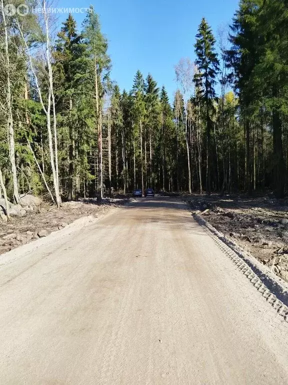 Участок в Ленинградская область, Всеволожск (37.5 м) - Фото 2