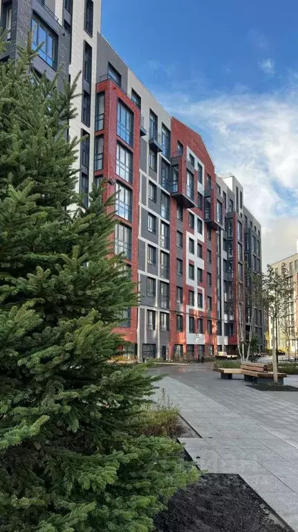 2-к кв. Калининградская область, Гурьевский муниципальный округ, пос. ... - Фото 1