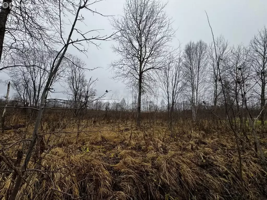 Участок в Тверская область, Калининский муниципальный округ, село ... - Фото 2