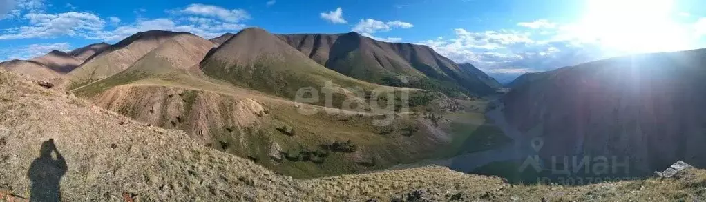 Участок в Алтай, Кош-Агачский район, с. Теленгит-Сортогой  (507.0 ... - Фото 1