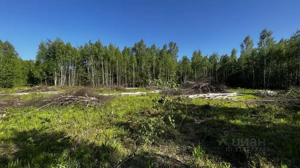 Участок в Калужская область, Жуков 4-я Родниковая ул., 1 (24.0 сот.) - Фото 1