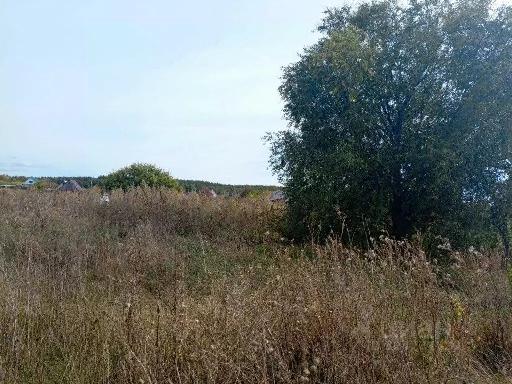 Участок в Ульяновская область, Тереньгульский район, Подкуровское ... - Фото 2