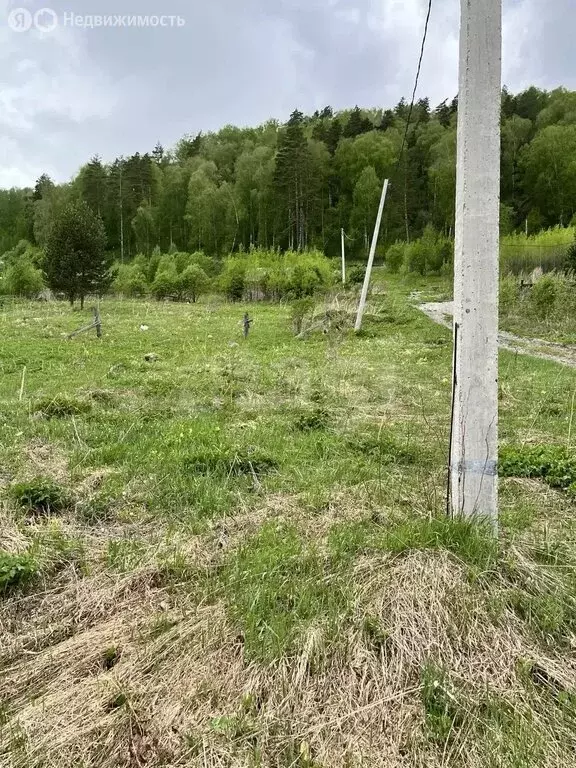 Участок в Манжерокское сельское поселение, село Озёрное, Тихая улица ... - Фото 2