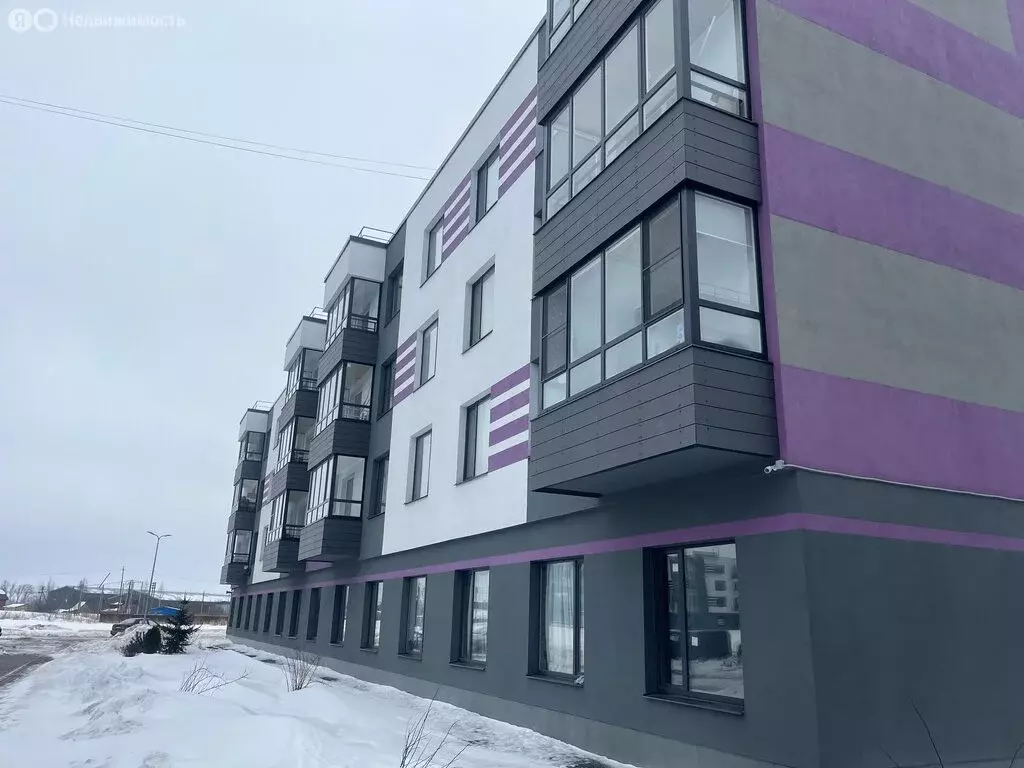 1-комнатная квартира: деревня Малое Верево, улица Кутышева, 9Вк8 (23 ... - Фото 2