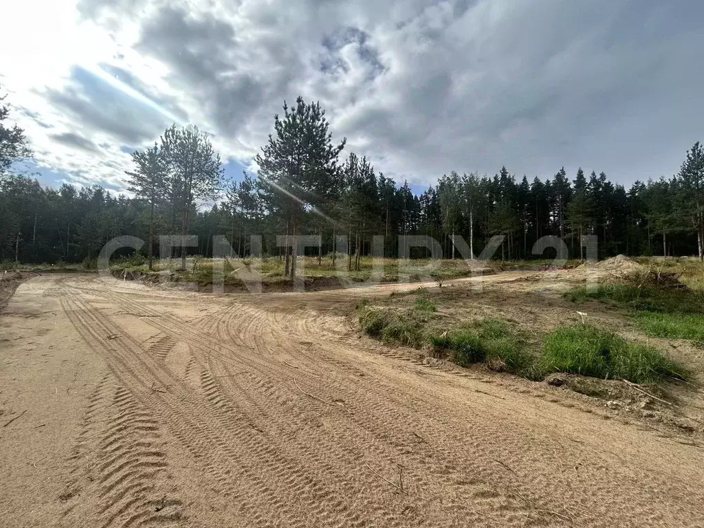 Участок в Ленинградская область, Приозерский район, Громовское с/пос, ... - Фото 2