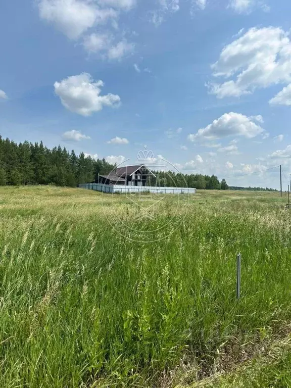Участок в Татарстан, Лаишевский район, Егорьевское с/пос, Егорьево СНТ ... - Фото 2