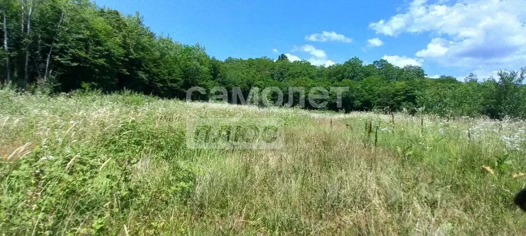 Участок в Краснодарский край, Туапсинский муниципальный округ, с. ... - Фото 2