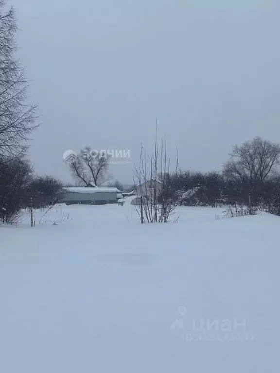 Участок в Чувашия, Чебоксарский муниципальный округ, Шинерпосинское ... - Фото 1