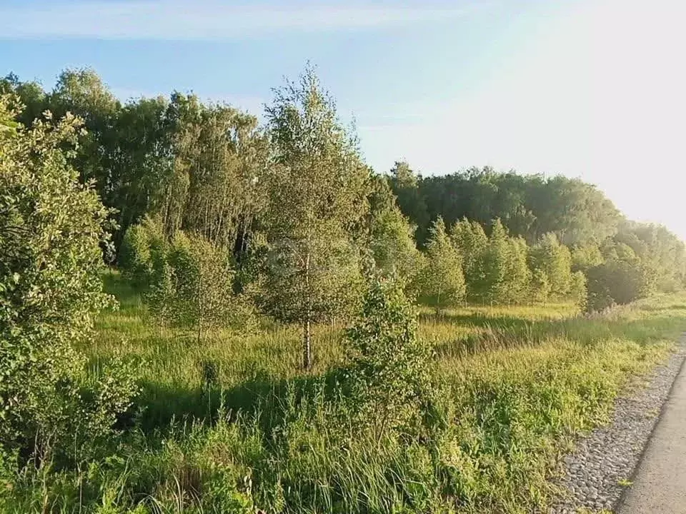 Участок в Тульская область, Заокский район, Демидовское с/пос, Сатип ... - Фото 1