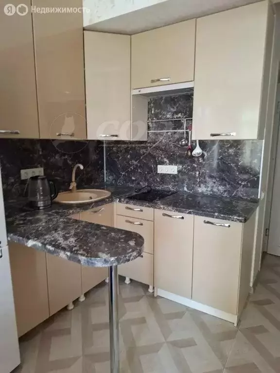 Квартира-студия: село Орёл-Изумруд, Петрозаводская улица, 32 (25 м) - Фото 2