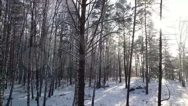 Участок 1,7 га (СНТ, ДНП) - Фото 1