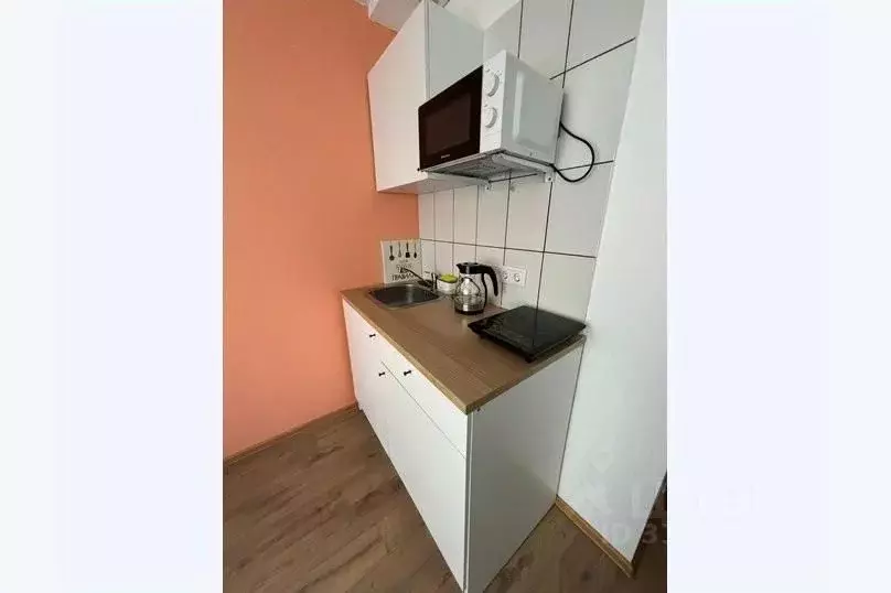 1-к кв. Свердловская область, Екатеринбург пер. Северный, 3 (30.0 м) - Фото 0