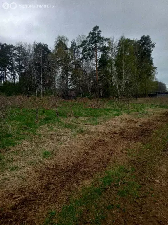 Участок в посёлок Исток, улица Специалистов, 3 (12 м) - Фото 0