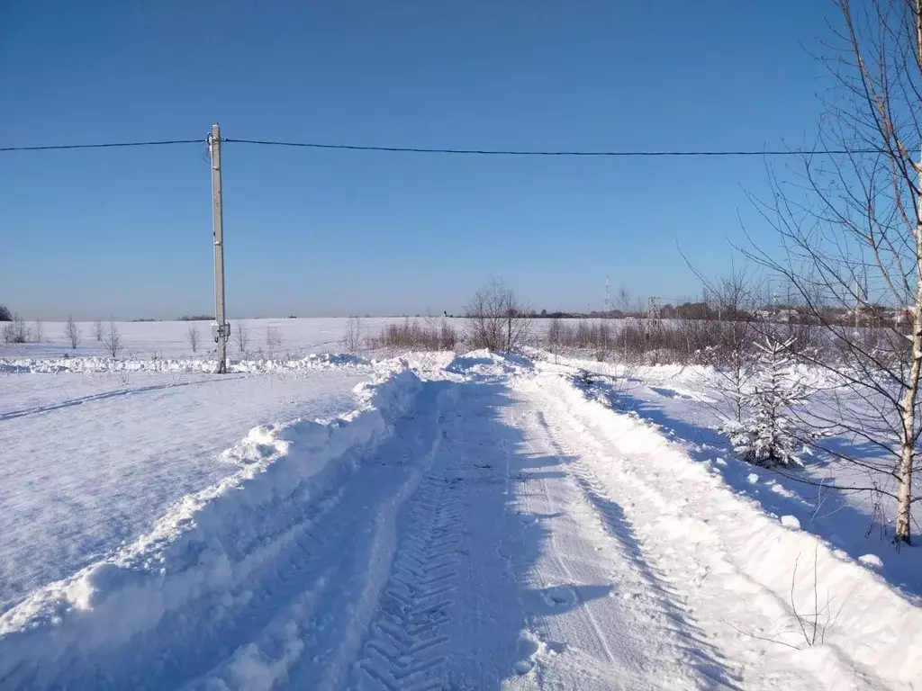 Участок в Московская область, Истра городской округ, д. Ябедино  (8.18 ... - Фото 0