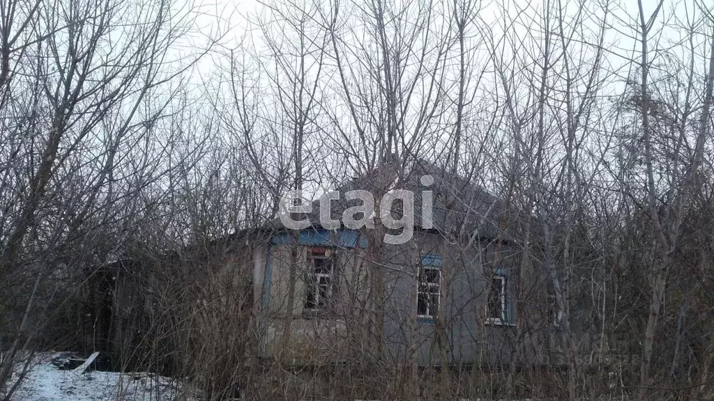 Дом в Белгородская область, Валуйский муниципальный округ, с. Борисово ... - Фото 0
