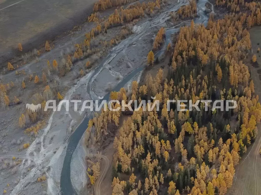 Участок в Алтай, Кош-Агачский район, с. Курай Зеленая ул., 44 (3000.0 ... - Фото 0