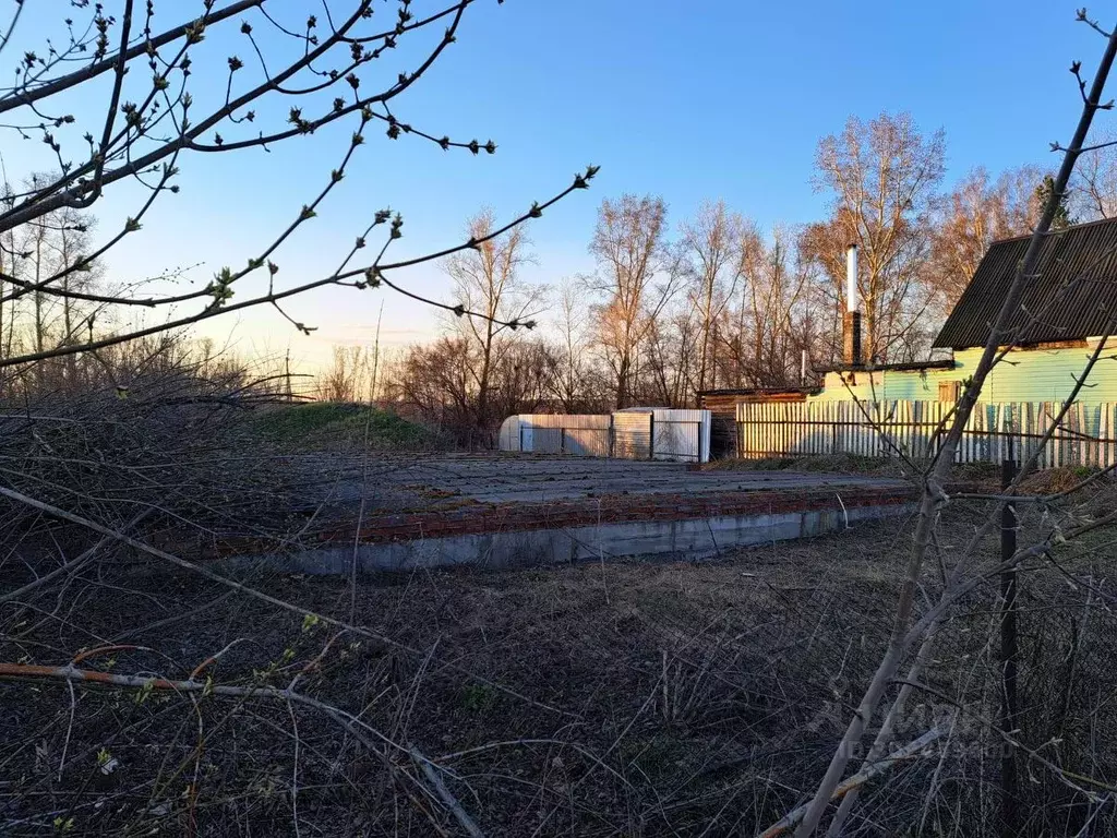 Участок в Кемеровская область, Кемеровский район, с. Елыкаево ... - Фото 2