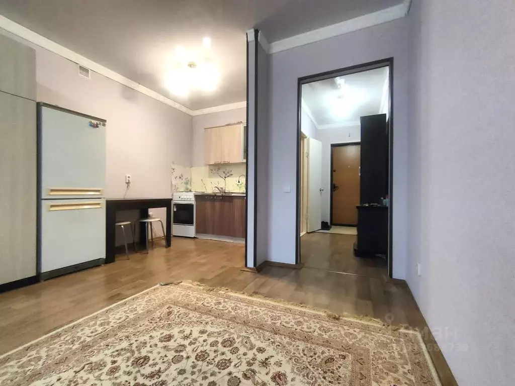 Студия Пензенская область, Пензенский район, Засечный сельсовет, с. ... - Фото 1