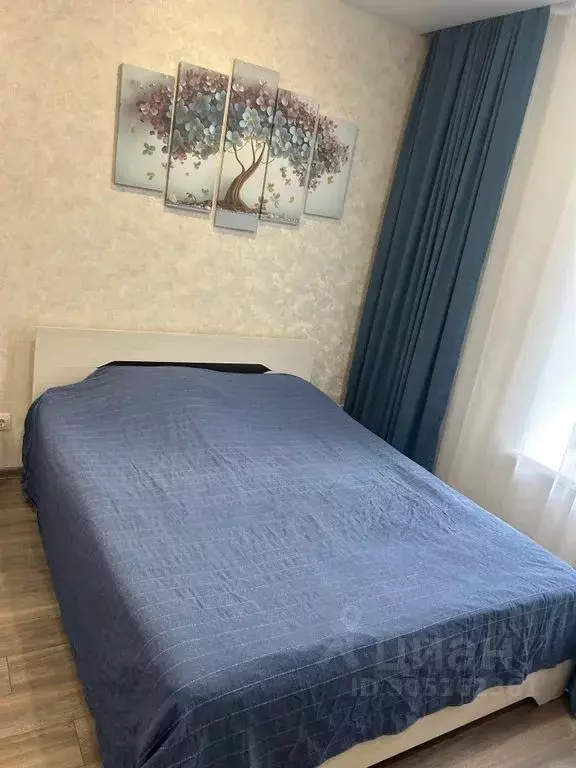 Студия Кировская область, Киров ул. Карла Маркса, 48 (24.0 м) - Фото 1