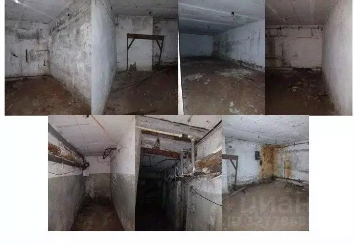 Помещение свободного назначения в Воронежская область, Воронеж ул. ... - Фото 2