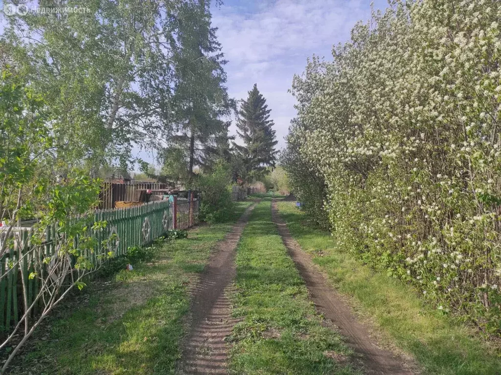 Участок в Омский район, село Лузино (5 м) - Фото 0