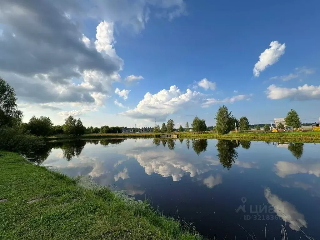 Участок в Московская область, Солнечногорск городской округ, Семейный ... - Фото 1