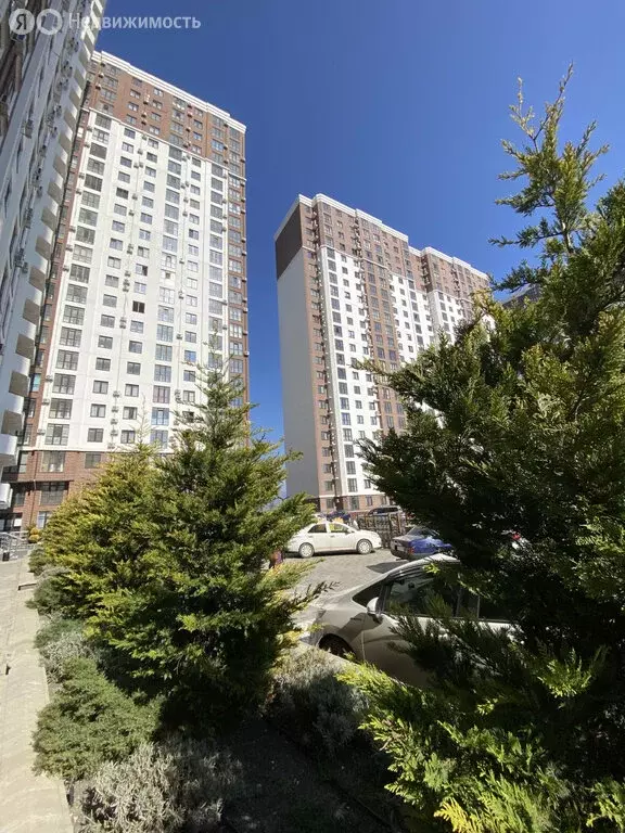 Квартира-студия: Новороссийск, Мысхакское шоссе, 59В (28.5 м) - Фото 2