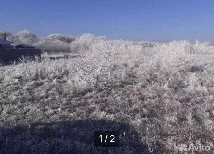 Участок в Белгородская область, Прохоровка рп, пос. Борщевка ул. ... - Фото 0