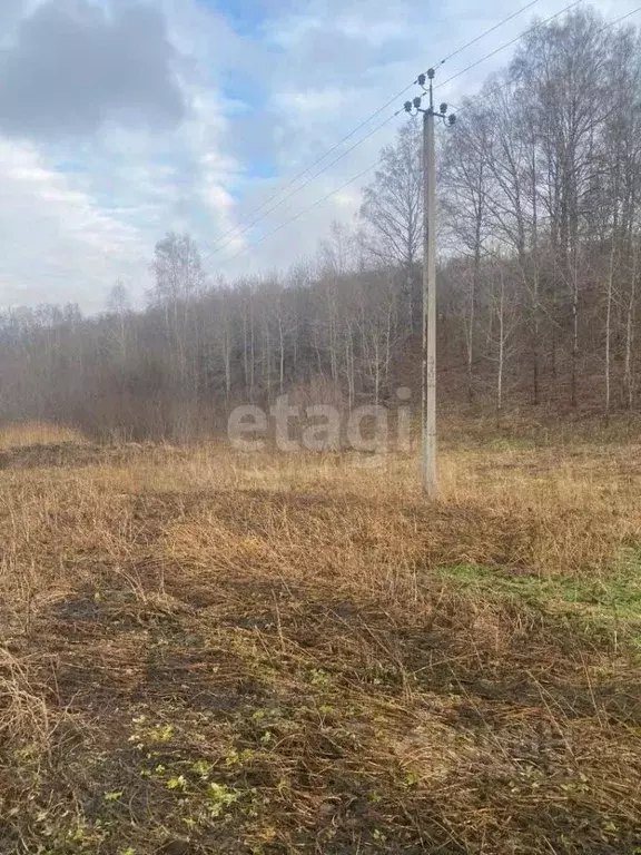 Участок в Новосибирская область, Новосибирский район, с. Раздольное  ... - Фото 0