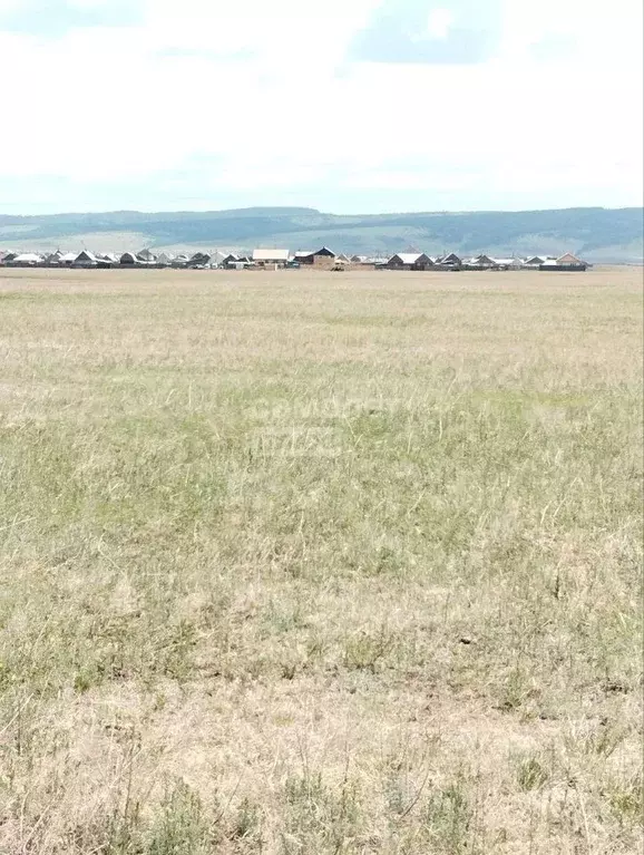 Участок в Иркутская область, Эхирит-Булагатский район, пос. ... - Фото 1