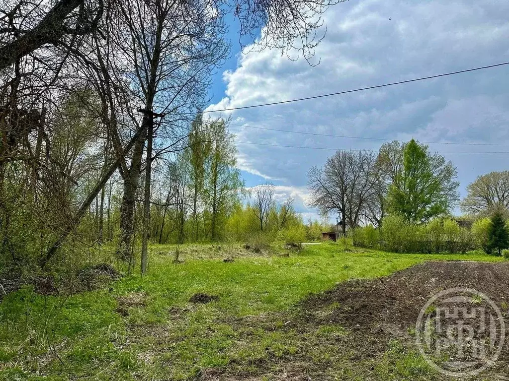 Участок в Новгородская область, Батецкий муниципальный округ, д. ... - Фото 0