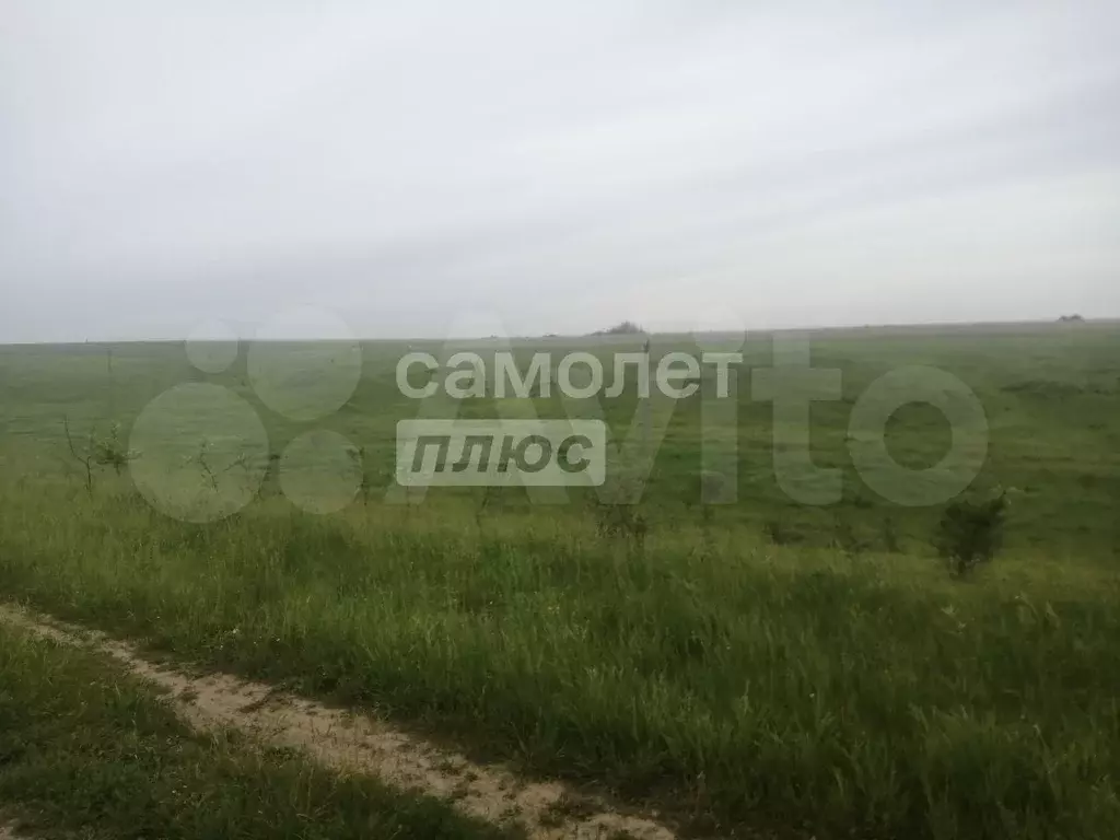Участок 15 сот. (ИЖС) - Фото 1