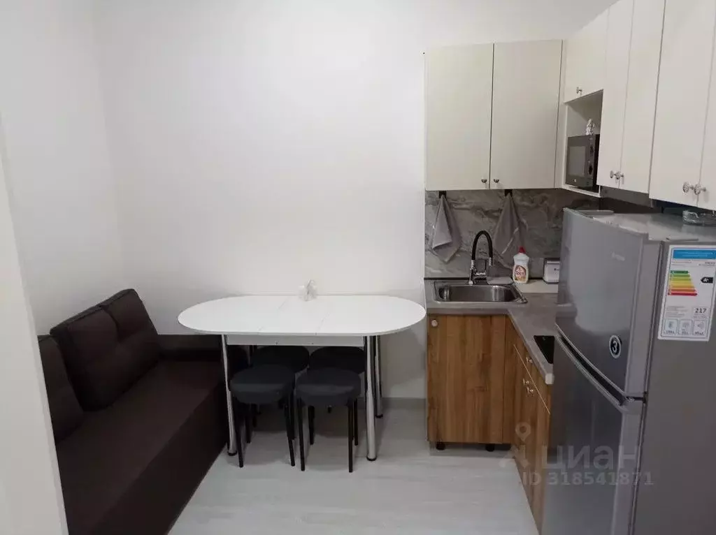 1-к кв. Краснодарский край, Сочи ул. Ленина, 219/6Б (37.0 м) - Фото 1