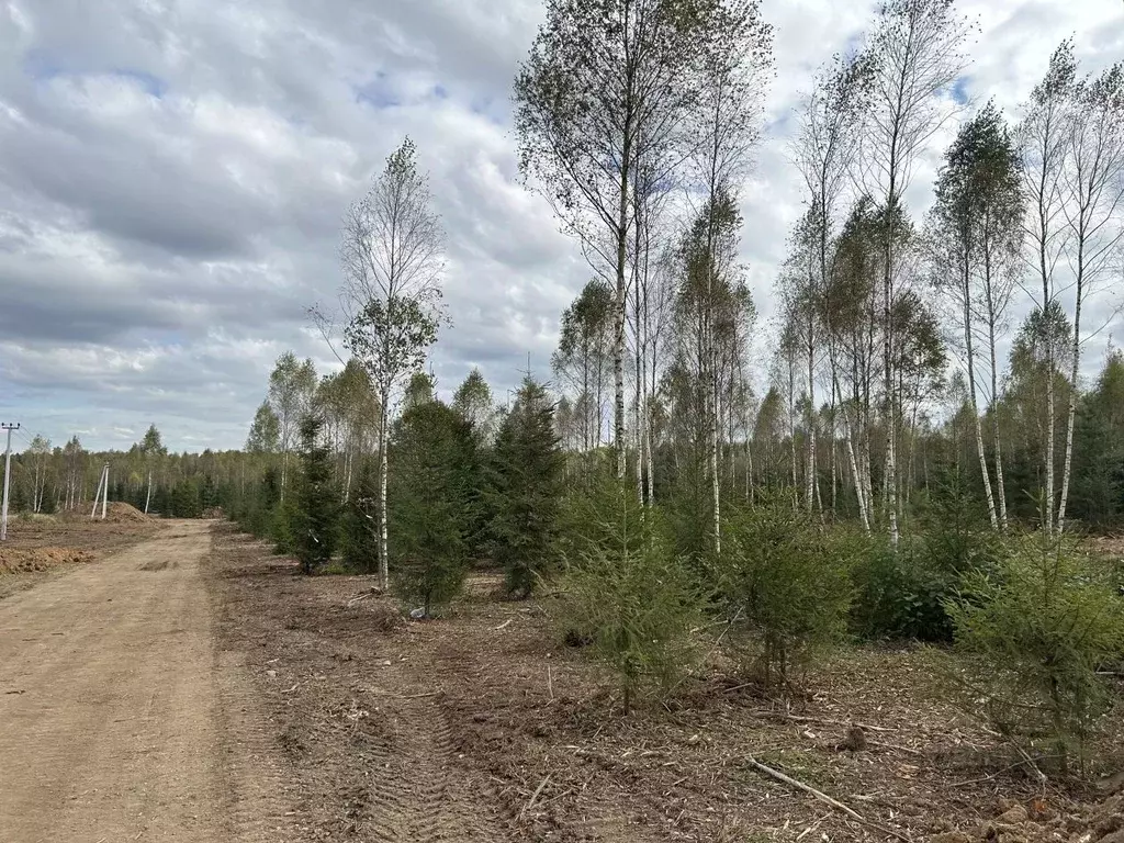 Участок в Калужская область, Совхоз Боровский с/пос, Волконское кп  ... - Фото 1