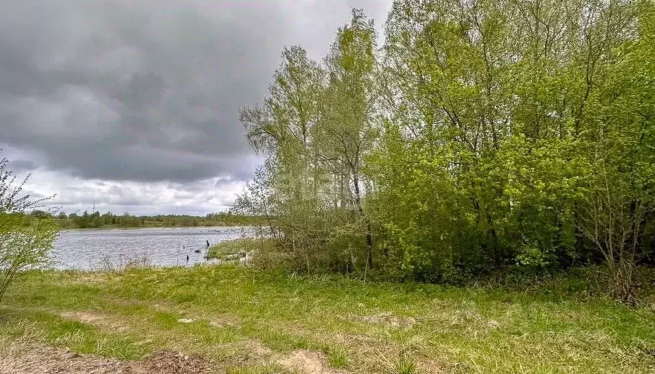 Участок в Ярославская область, Ростовский муниципальный округ, д. ... - Фото 1