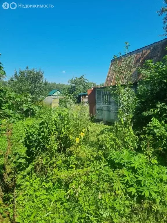 Дом в Ярославский муниципальный округ, СНОТ Оздоровитель-1 (30 м) - Фото 1