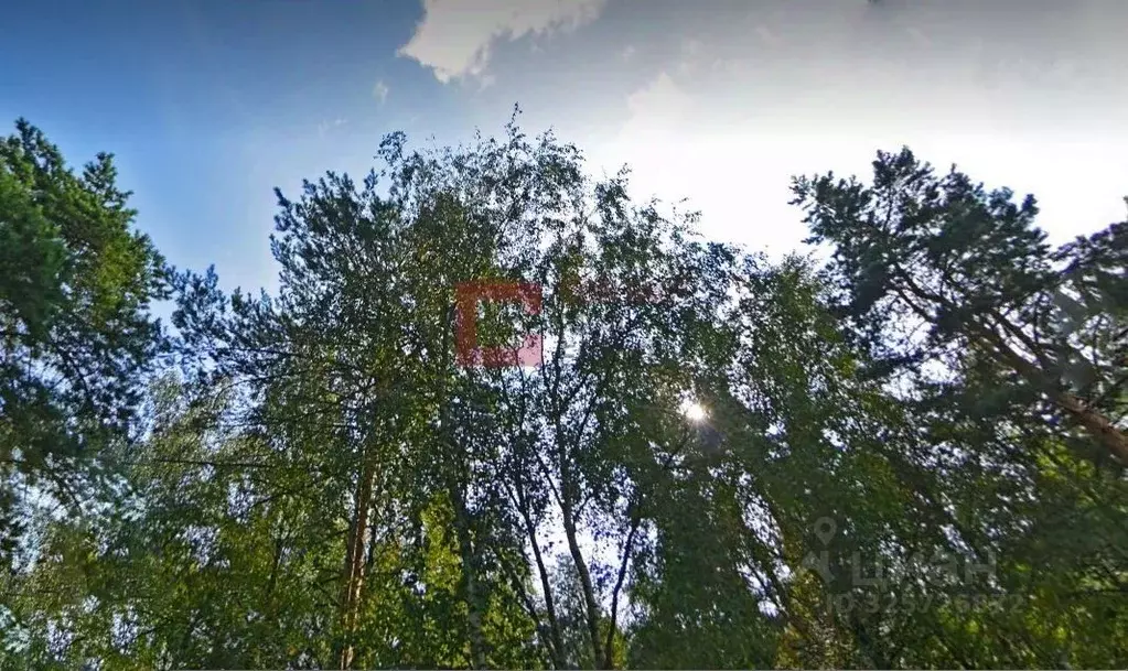 Участок в Московская область, Одинцовский городской округ, д. Шульгино ... - Фото 1