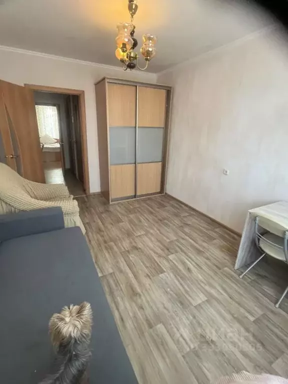 Комната Самарская область, Тольятти Тополиная ул., 23 (14.0 м) - Фото 2