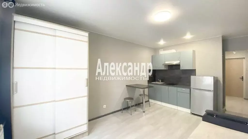 Квартира-студия: Мурино, Екатерининская улица, 14 (24.2 м) - Фото 2