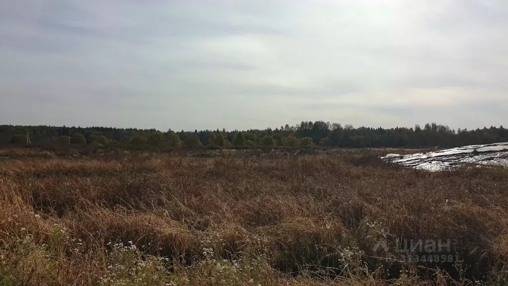 Участок в Московская область, Сергиево-Посадский городской округ, д. ... - Фото 0