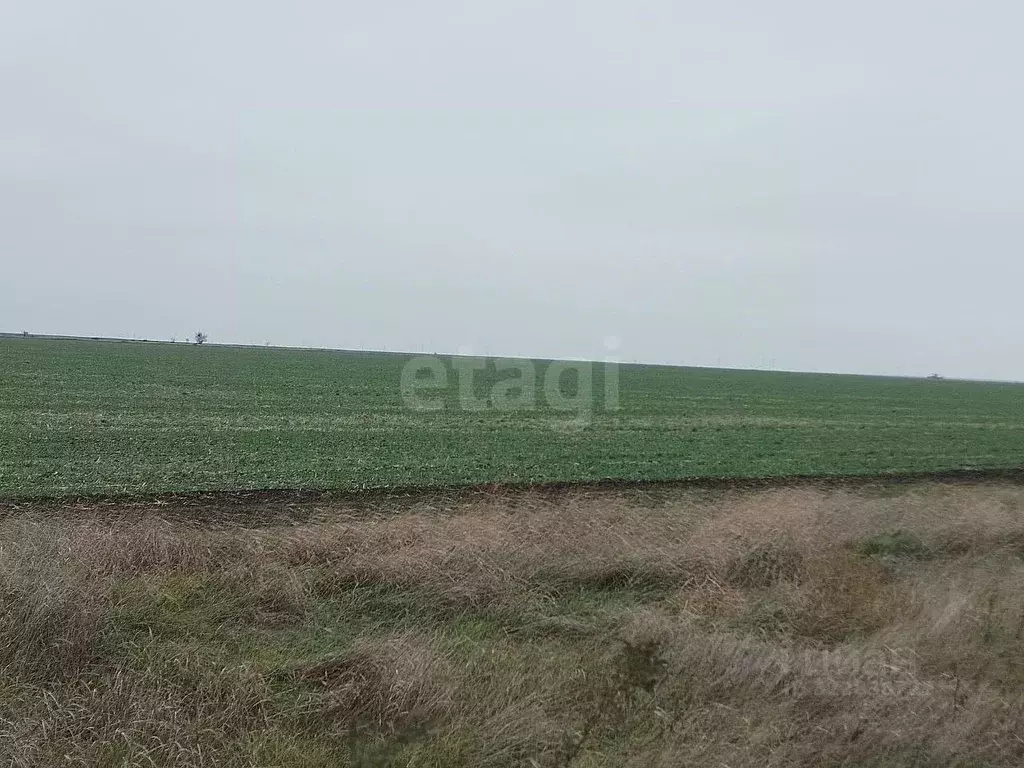 Участок в Крым, Ленинский район, Семисотское с/пос, с. Каменское ул. ... - Фото 1