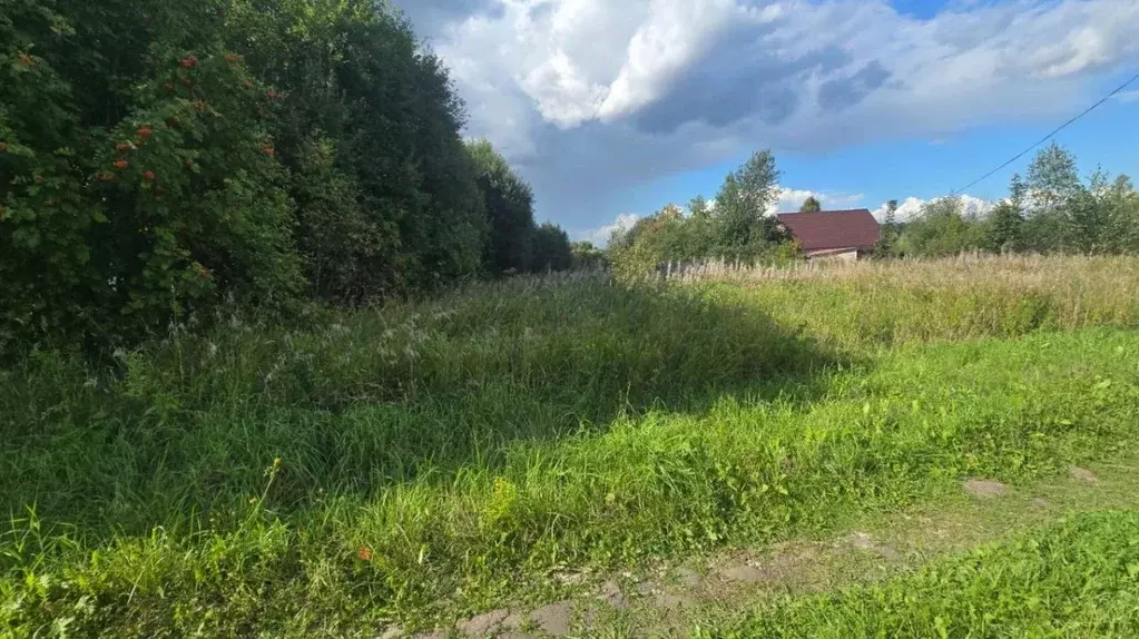 Участок в Московская область, Ступино городской округ, д. Четряково  ... - Фото 0