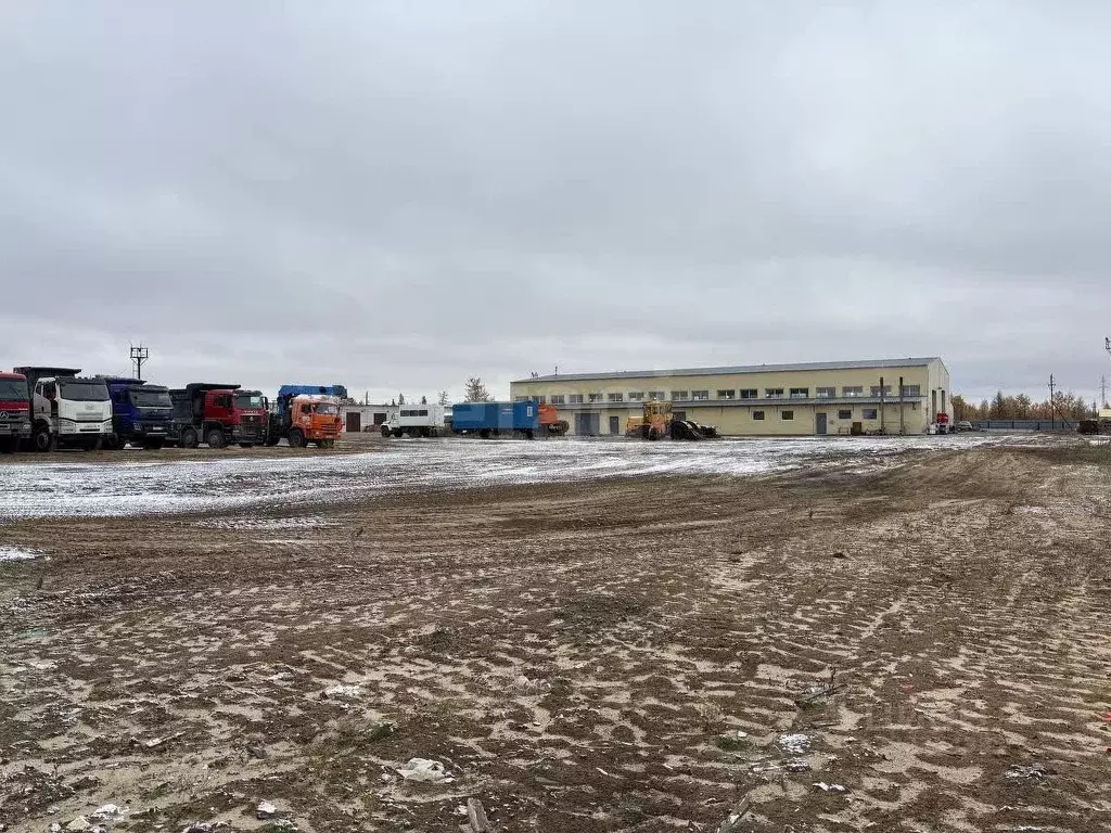 Склад в Ямало-Ненецкий АО, Новый Уренгой Таежная ул., с145 (16707 м) - Фото 1